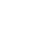 Daniela Cedele Logo